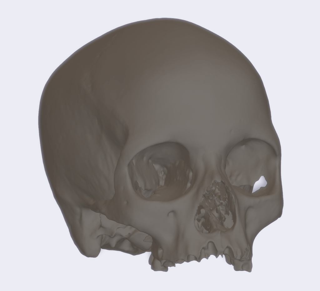 3D mode of human cranium from Tombos
